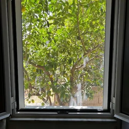 Διαμέρισμα Miros Apts 2 In 50m From The Αγία Πελαγία (Κρήτη)